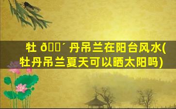 牡 🌴 丹吊兰在阳台风水(牡丹吊兰夏天可以晒太阳吗)